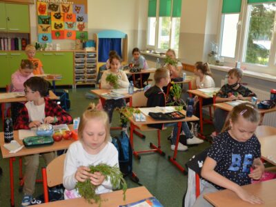 Kolorowa łąka w IIa