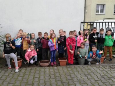 Tulipany