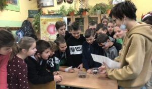 Nie taki ptasznik straszny jak go malują…