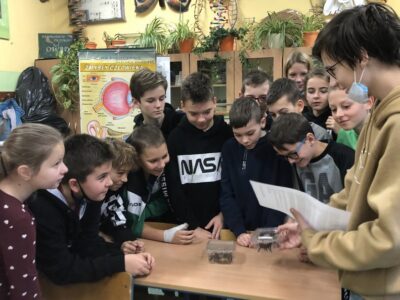 Pająki w 5s
