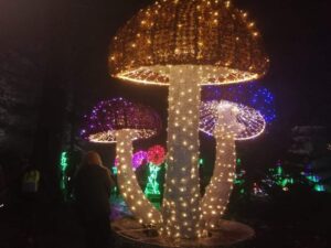 Fascynujący świat Lumina Park
