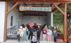 Jesienna wycieczka do Alpakoraju