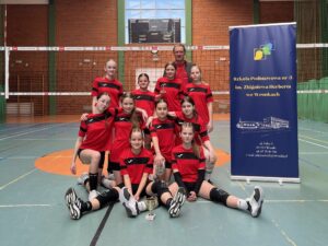 Turniej piłki siatkowej